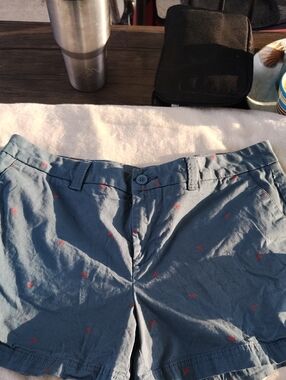 Magellan Outdoors Blue Chino Shorts with Red Accent Print